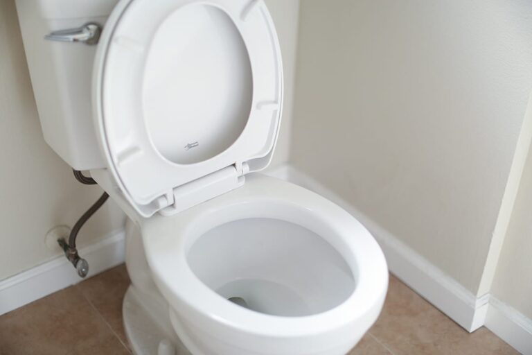 What is Causing the Sewer Smell from My Toilet?