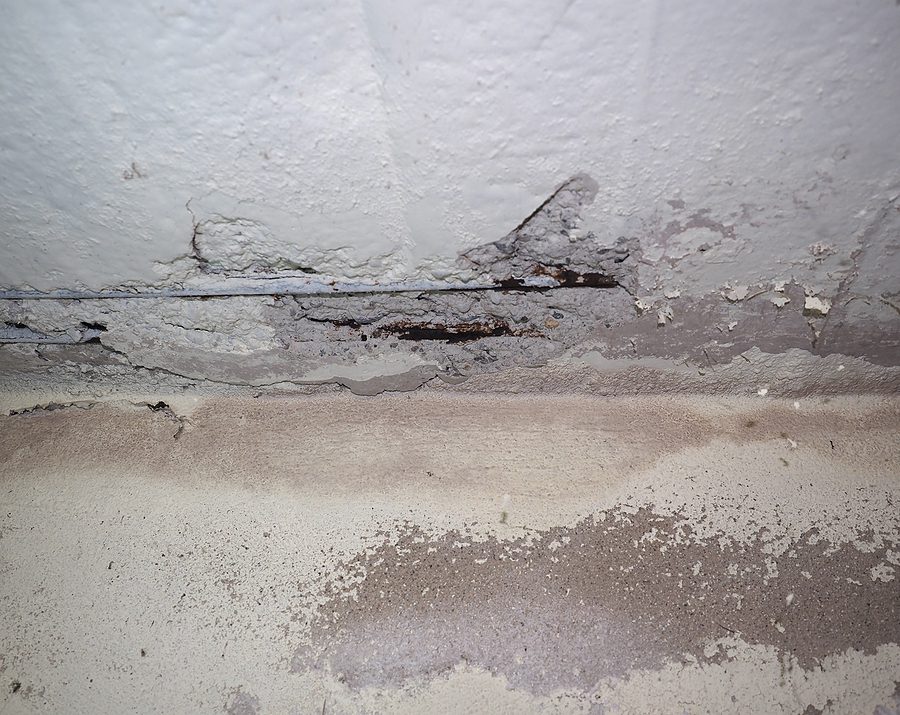 How Can I Tell If I Have a Hidden Water Leak